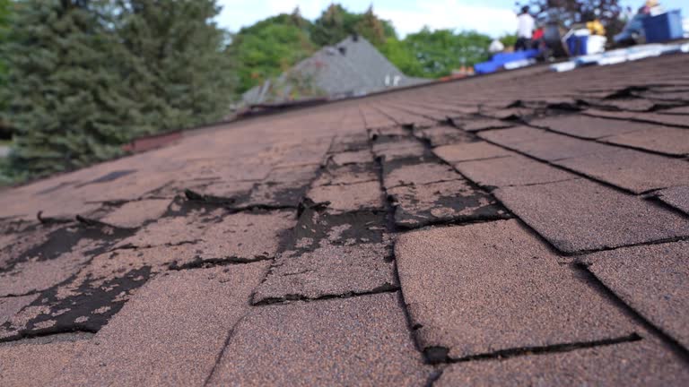 Best Roof Coating Services  in Smithville, OH