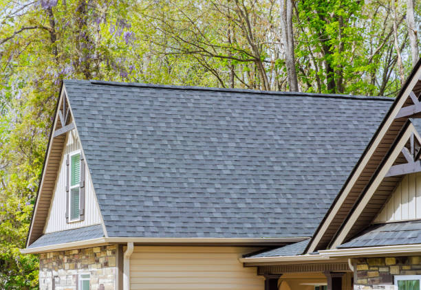 Best Skylight Installation and Repair  in Smithville, OH